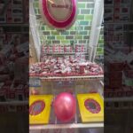 【クレーンゲーム】 店の想定外の取り方で景品GET！  【UFOキャッチャー】#shorts #切り抜き #白シロ