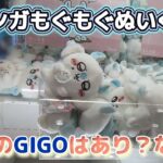 モモンガもぐもぐぬいぐるみ☆ 初日のGIGOはあり？なし？【クレーンゲーム】