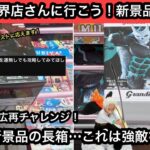 サソリの末広を運無しで攻略してほしい…視聴者さんのリクエストにお応えします！新景品の長箱は強敵でした…【結屋】【クレーンゲーム】【JapaneseClawMachine】【인형뽑기】【日本夾娃娃】