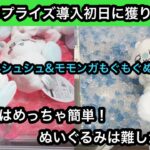 ちいかわ モモンガのシュシュとぬいぐるみ！導入初日に獲りに行った結果…【クレーンゲーム】【JapaneseClawMachine】【인형뽑기】【日本夾娃娃】