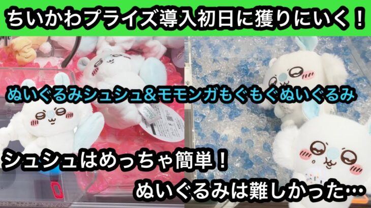 ちいかわ モモンガのシュシュとぬいぐるみ！導入初日に獲りに行った結果…【クレーンゲーム】【JapaneseClawMachine】【인형뽑기】【日本夾娃娃】