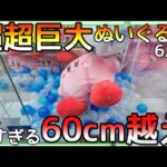 全然動かん!!重すぎてパワーMAXでも微動だにしない60cm超えぬいぐるみの攻略法！
