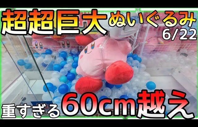 全然動かん!!重すぎてパワーMAXでも微動だにしない60cm超えぬいぐるみの攻略法！