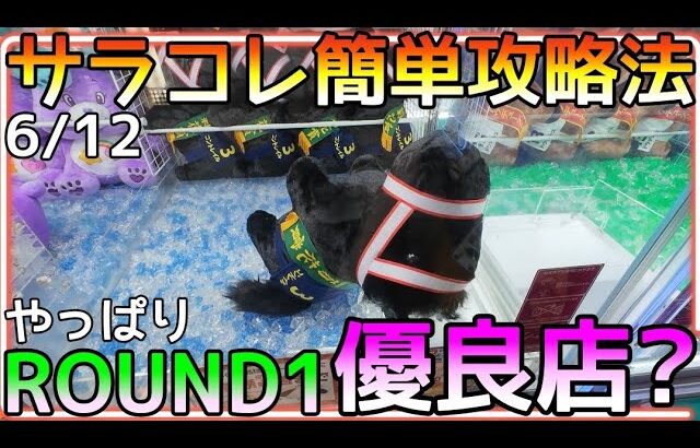 深追い危険？やっぱりROUND1は優良店なのか!?サラコレ簡単攻略法
