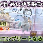 ちいかわぬいぐるみシュシュ☆ アソベースミニクレーンでコンプ目指します!! 後半ROUND1モモンガもぐもぐ☆【クレーンゲーム】