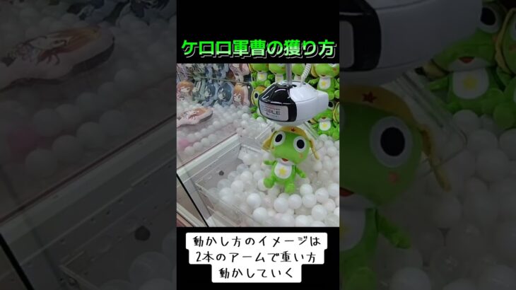 #クレーンゲーム #攻略 #ゲーセン #確率機 #確率無視 #ケロロ軍曹 #ケロッとマーチ  ゲーセン  TikTok