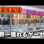 【クレーンゲーム】世界一獲れるゲーセン！大赤字確定の獲り方で新景品を獲り尽くせ！【回遊館出雲店・UFOキャッチャー】