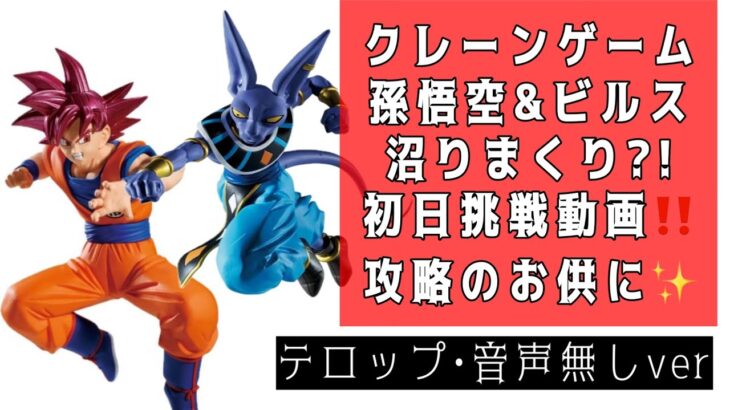 『クレーンゲーム』最新 初日 攻略動画 人気 プライズ フィギュアドラゴンボール 孫悟空 ビルス‼️今回も沼りました😂お酒のお供に🍶UFOキャッチャー ゲーセン