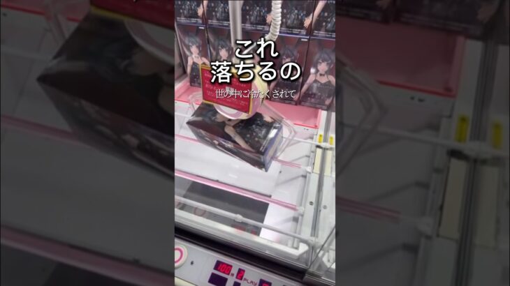 狭い！狭いよぉ！！#クレーンゲーム#ゲームセンター#クレーンゲーム攻略#UFOキャッチャー#フィギュア