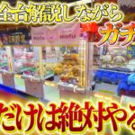【徹底解説】ゲーセンにある大きいぬいぐるみ全台プレイして攻略法を紹介します！！【クレーンゲーム・UFOキャッチャー】