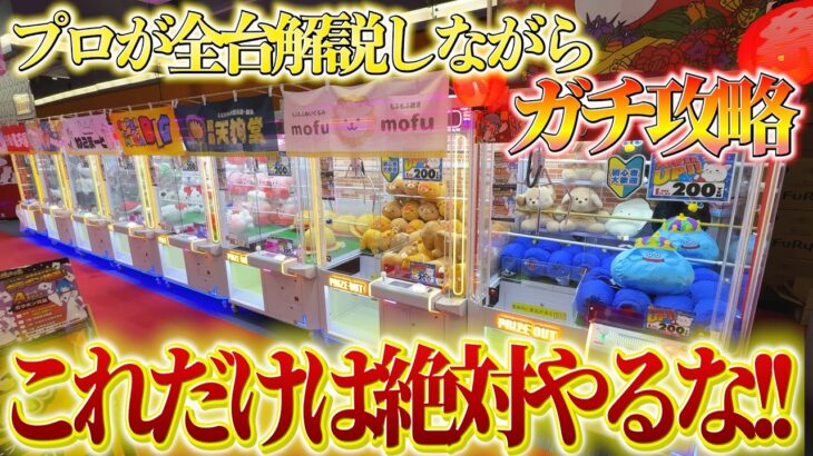 【徹底解説】ゲーセンにある大きいぬいぐるみ全台プレイして攻略法を紹介します！！【クレーンゲーム・UFOキャッチャー】