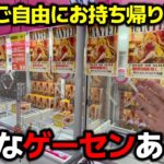 【クレーンゲーム】ご自由にお持ち帰り下さい！全国でも稀な衝撃のゲーセン！【回遊館出雲店・UFOキャッチャー】