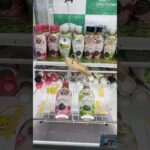 フックで柔軟剤獲れるかな？？#クレゲ#クレゲ中毒#クレゲ好き#クレゲ攻略#クレーンゲーム#UFOキャッチャー#ゲームセンター#ゲーセン#柔軟剤#フック#フック設定#お宝発見#津山店#おたからアミューズ