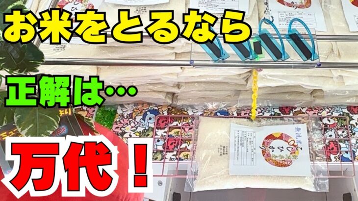 お米を取るなら正解は万代！【クレーンゲームお菓子】【UFOキャッチャーコツ】