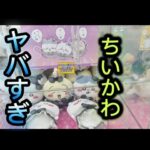 【ちいかわ】視聴者様からリクエストが来たちいかわクレーンゲームUFOキャッチャーに再挑戦して完全攻略を目指したらヤバすぎた
