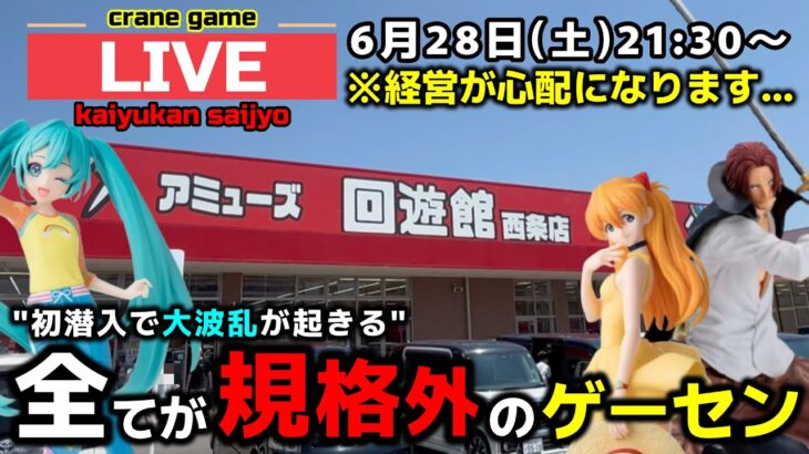 【クレーンゲーム】初潜入で大波乱が起きる⁉︎全てが規格外のお店で暴れます！【回遊館西条店・UFOキャッチャー】