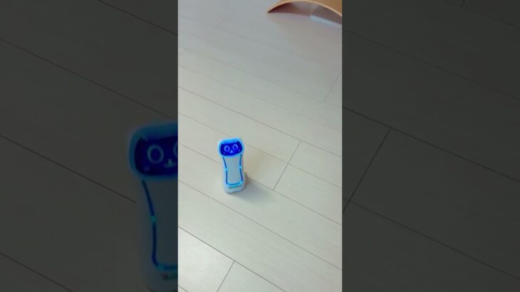 UFOキャッチャー景品 猫型ロボットGET #shorts #shortvideo #ufoキャッチャー  #ネコ型ロボット#子猫