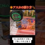 #UFOキャッチャー #ゲーセン #攻略 #クレーンゲーム #橋渡し #エヴァンゲリオン #エヴァ #アスカ  TikTok
