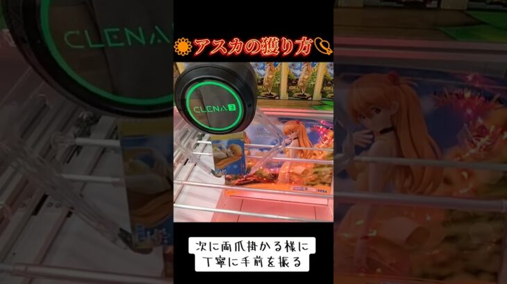 #UFOキャッチャー #ゲーセン #攻略 #クレーンゲーム #橋渡し #エヴァンゲリオン #エヴァ #アスカ  TikTok