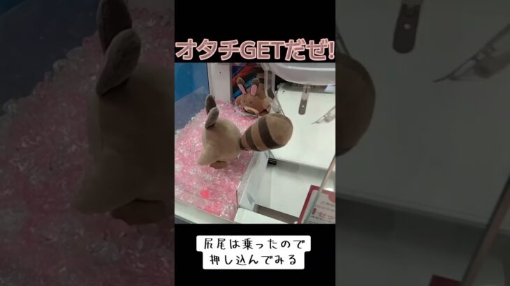 #UFOキャッチャー #攻略 #ゲーセン #確率機 #確率無視 #ポケモン #オタチ  ゲーセン  TikTok