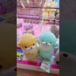 【クレーンゲーム】カワウソコンプリートなるか⁉️🤯 #UFOキャッチャー #shorts