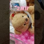 【速報！クレーンゲーム】可愛すぎるタイトー限定くまさん攻略法🐻💛　#くまのぬいぐるみ#人気#ふわふわ#クレーンゲームコツUFOキャッチャー##Teddy bear#clawmachine #玩具熊