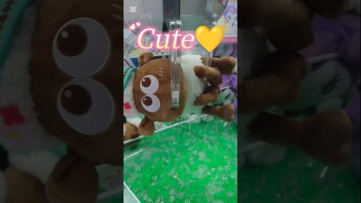 【クレーンゲーム】可愛すぎる💛ひつじのショーン救出なるか👈　#ひつじのショーン#ぬいぐるみ#クレーンゲーム#UFOキャッチャー攻略法#コツ#グッズ#clawmachine#Shaun　theSheep