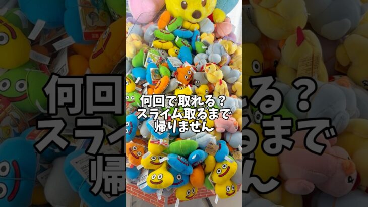 何回でとれる？スライム取るまで帰りません！#クレーンゲーム#ゲームセンター#UFOキャッチャー#ドラクエ#景品#round1