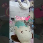 【クレーンゲーム】新作ポチャッコ可愛すぎる💕#ポチャッコ#サンリオ#ぬいぐるみ#グッズ#歌#ばつ丸くん#クレーンゲーム攻略#UFOキャッチャー#sanrio#三丽鸥#娃娃机#PC狗#ゲームセンター
