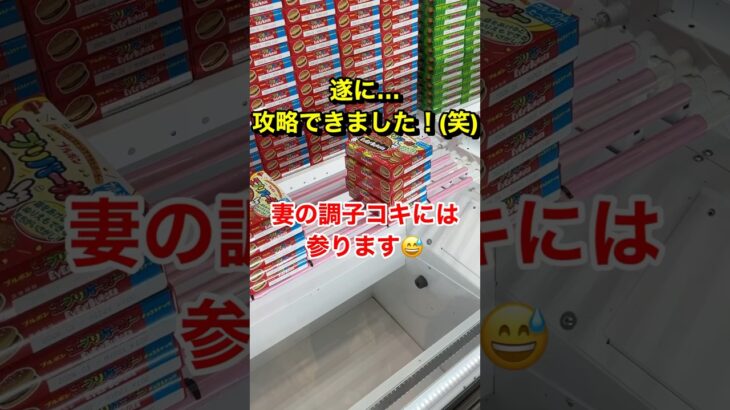 遂に攻略出来た！(笑)#UFOキャッチャー#クレーンゲーム#shorts#スウィートランド#ミニクレーン