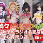 【最新美少女フィギュア】あみあみ秋葉原ラジオ会館店展示★デコマス★ビキニ★anime figures unboxing bikini NEW★amiami★NIKKE アズレン クレイ ベイ ラム
