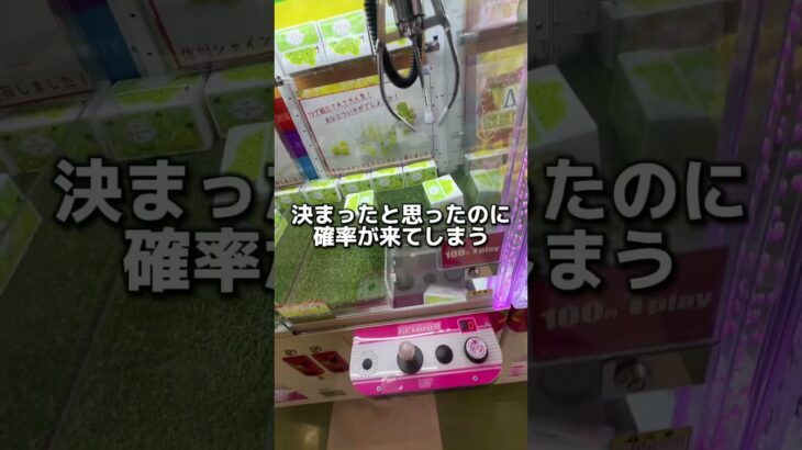 テレビで目撃した景品を探してたら… #クレーンゲーム #ゲームセンター #ゲーセン #ゲーム #arcade #ufoキャッチャー #夾娃娃機 #vlog