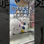 【攻略】 シロのぬいぐるみ取り方#clawmachine #japaneseclawmachine #ufoキャッチャー #クレーンゲーム #日本夾娃娃