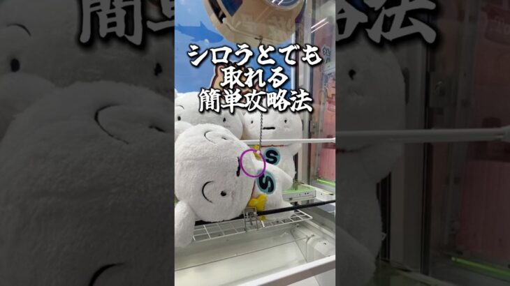 【攻略】 シロのぬいぐるみ取り方#clawmachine #japaneseclawmachine #ufoキャッチャー #クレーンゲーム #日本夾娃娃