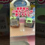 【攻略】 長野県の穴場ゲーセンがヤバい#clawmachine #japaneseclawmachine #ufoキャッチャー #クレーンゲーム #日本夾娃娃