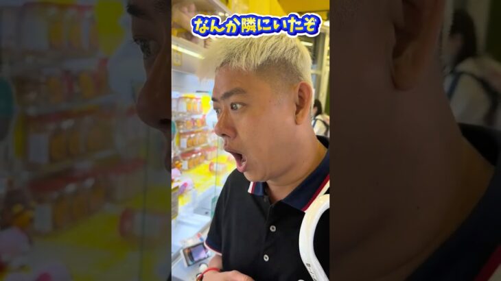 【攻略】クレーンゲーム攻略したらすごく見られてた #clawmachine #japaneseclawmachine #ufoキャッチャー #クレーンゲーム #日本夾娃娃