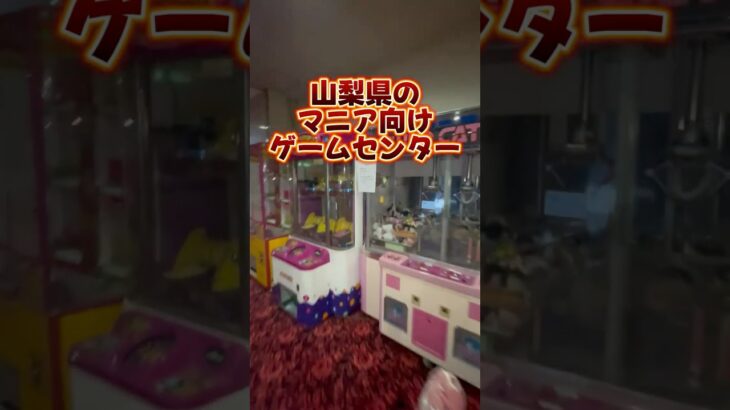 【山梨県】 レトロ機の多いゲーセンがヤバい#clawmachine #japaneseclawmachine #ufoキャッチャー #クレーンゲーム #日本夾娃娃
