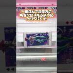 実は横接地状態から一撃で取れちゃう！？プライズフィギュア攻略！#cranemachine  #クレーンゲーム #ゲーセン #clawmachine #UFOキャッチャー