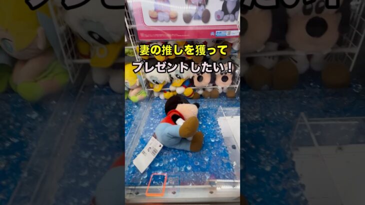 ゲームセンターで妻の推しを発見！獲ってプレゼントしたい！#クレーンゲーム  #disney #mickeymouse #japaneseclawmachine #cute