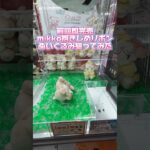 前回即完売mikko characters 抱きしめおリボンぬいぐるみ攻略してみた！