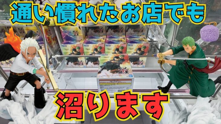 【クレーンゲーム】人気景品を狙ったら久々に無理ゲー感を味わいました！エグい結果を是非ご覧ください！#ワンピース #onepiece #フィギュア #figure #ゲームセンター