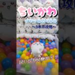 【ちいかわの主人公獲ってみた】ええっと…全部狙ってました。。。#ちいかわ　#ゲーセン #クレーンゲーム #コツ #フィギュア　#お菓子 #攻略 #shorts #ぬいぐるみ #ベネクス