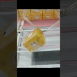 ベネクス川越店のクレーンゲームでバウムクーヘンと生パスタをゲット #shorts