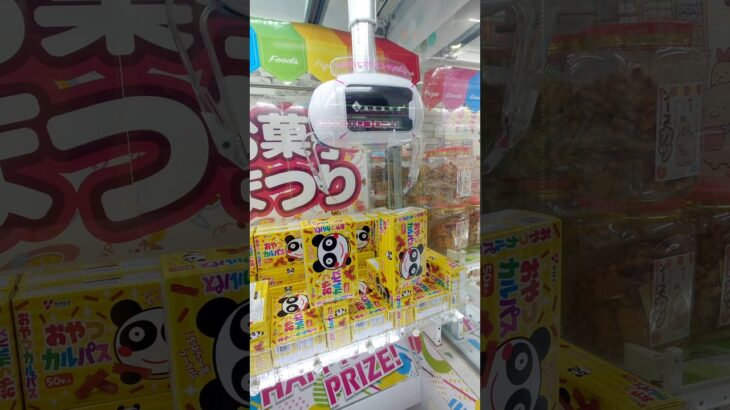 あきらめかけたその時‥‥‥#shorts