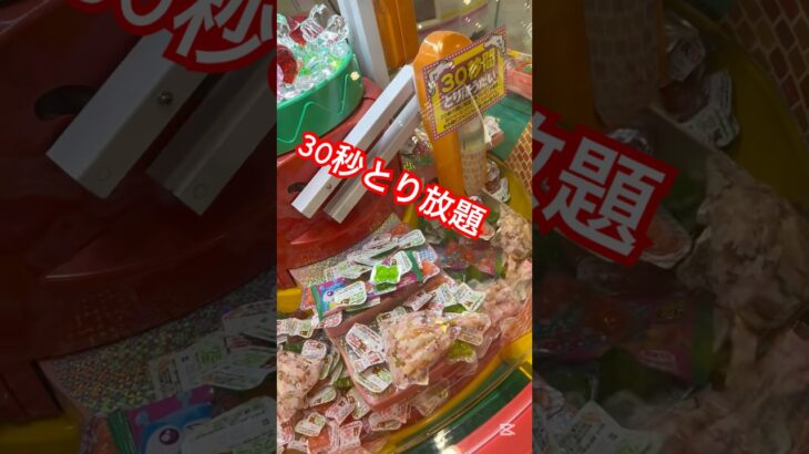 とり放題！ってどれだけ獲れる？ #shorts