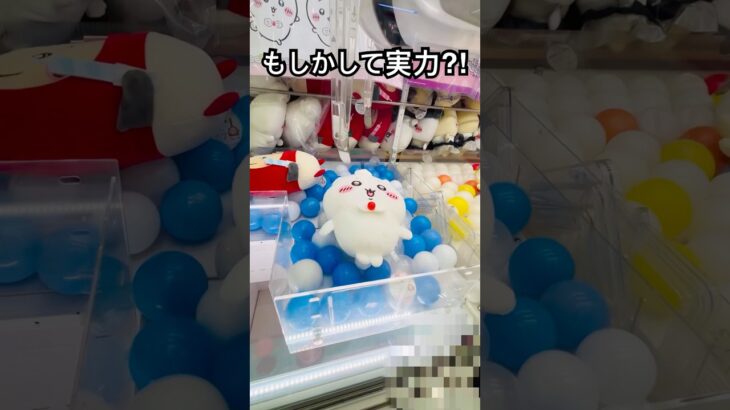 【クレーンゲーム】もしかして実力⁈ #shorts #クレーンゲーム #クレーンゲーム攻略 #ちいかわ #ufoキャッチャー