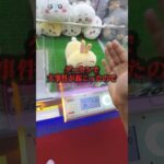 被害者は僕だけで十分、、、 #shorts #クレーンゲーム #ufoキャッチャー #ゲーセン #ゲームセンター #arcade #clawmachine