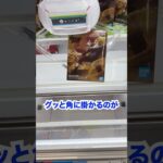 橋渡しが上手くなりたいなぁ #shorts  #クレーンゲーム #ufoキャッチャー#ゲーセン #ゲームセンター  #arcade #clawmachine