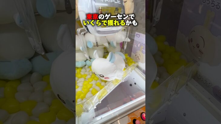 東京のゲーセンで大波乱 #shorts #クレーンゲーム #ufoキャッチャー #cranegame #ぬいぐるみ