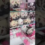 【攻略法なし！？】超まじかるハチワレ#shorts #viralshorts #ちいかわ #ハチワレ #ゲームセンター #クレーンゲーム #ufoキャッチャー #clawmachine